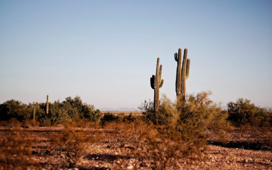 RV Snowbirding in Arizona: Good for Your Health