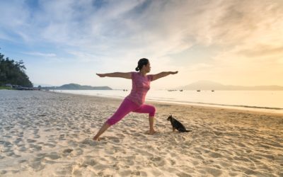 Yoga For Beginners: RV Edition